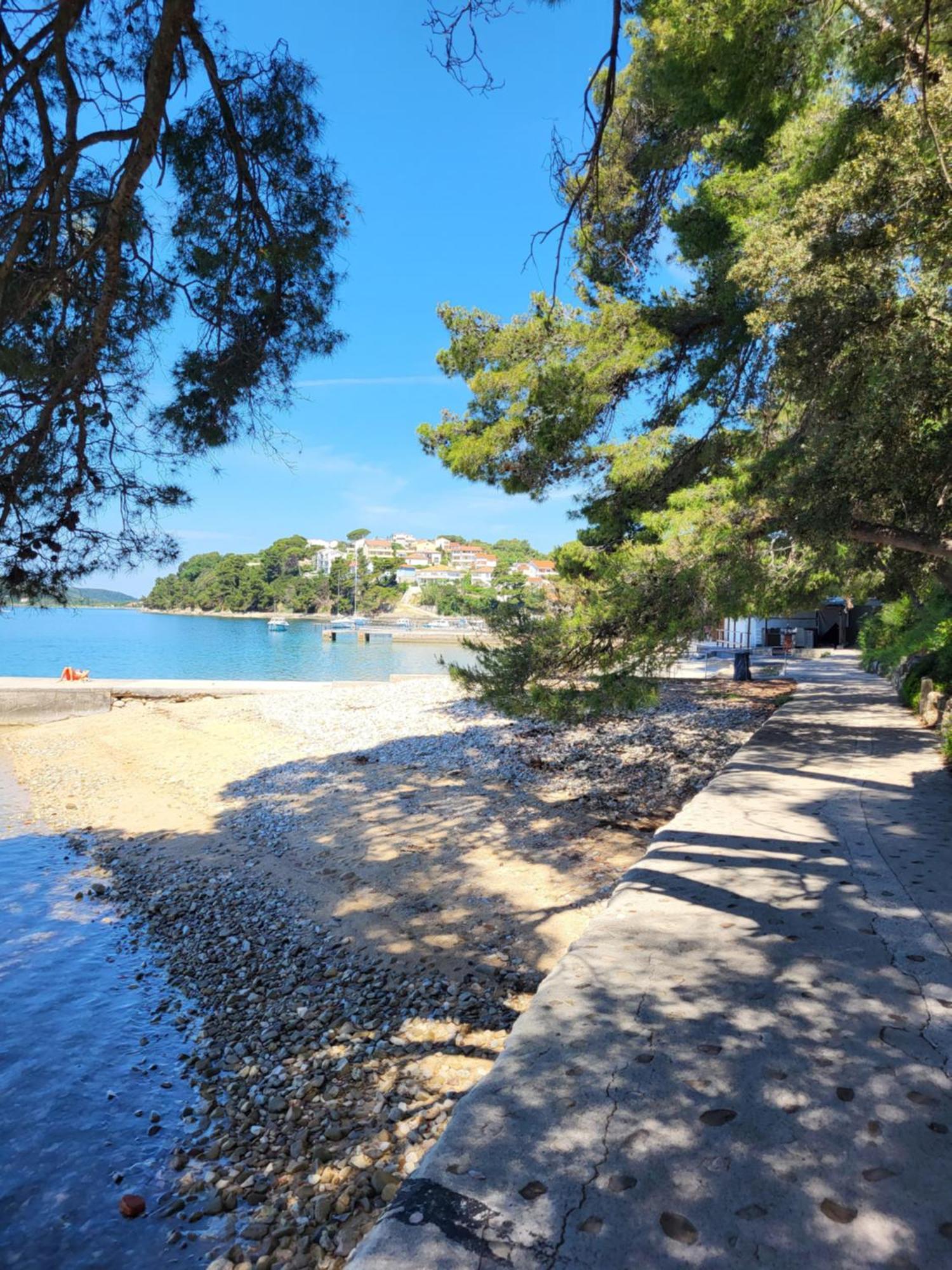 Apartmani Centar Palit Bagian luar foto